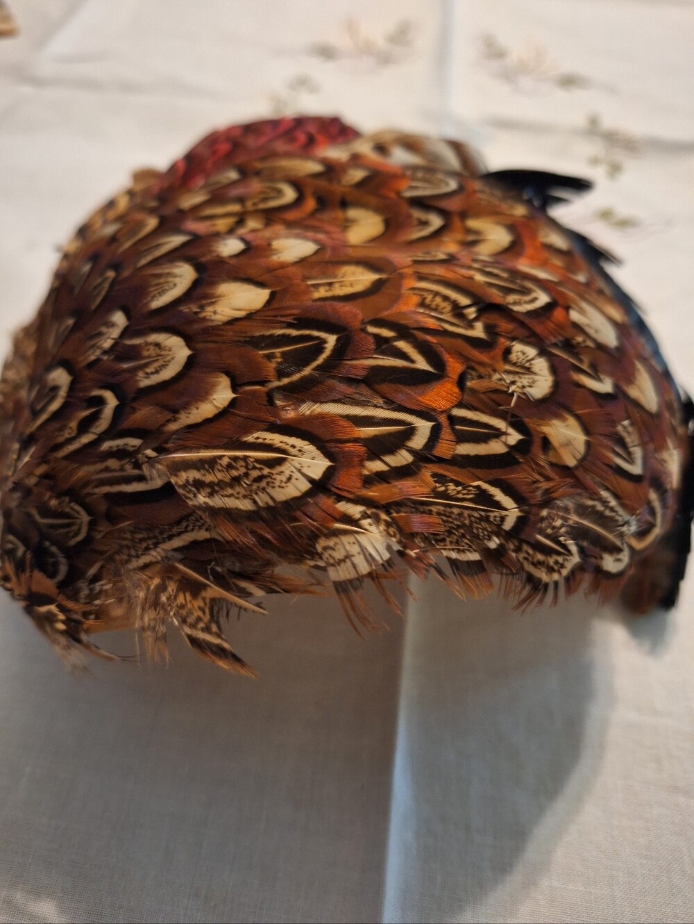 Vintage Feathered Cocktail Hat with Red and Brown Pheasant Feathers - Picture 4 of 7